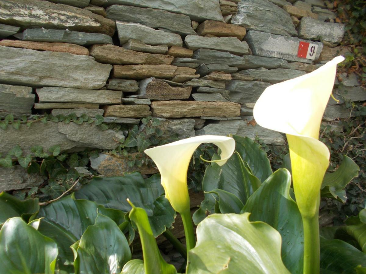 Cyclades Olive Museum'S Guest House Pitrofos ภายนอก รูปภาพ